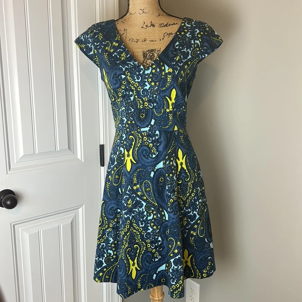 Plenty by Tracy Reese Blue Paisley Melanie Cap Sleeve Dress Size 4 - Picture 1 of 9